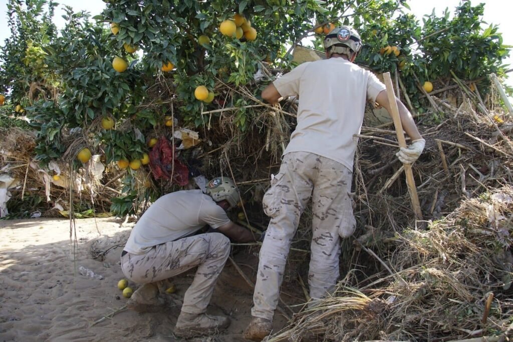 agricultura-dana-valencia