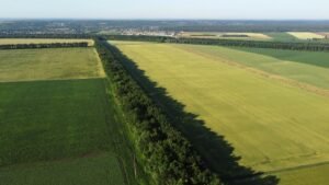 Pagos directos PAC agricultura