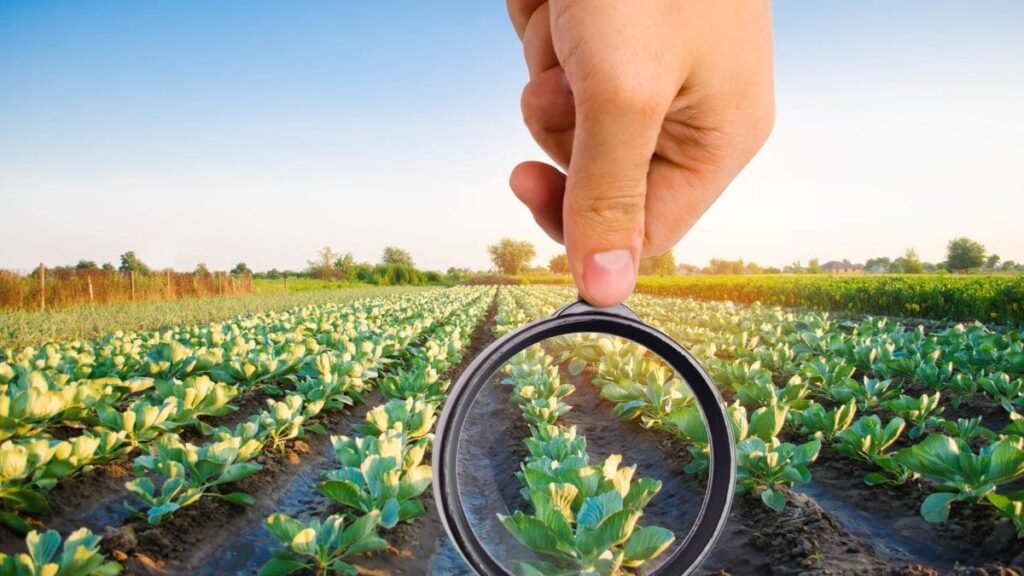 Últimas sanciones en la cadena alimentaria